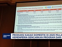 Video: Produksi Kakao Domestik Mulai Naik, Gencarkan Program dari BPDP