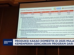Video: Produksi Kakao Domestik Mulai Naik, Gencarkan Program dari BPDP