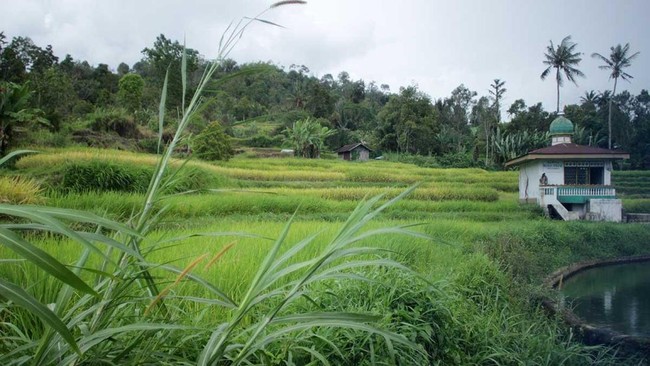 Materialisme dan Ruang Sakral