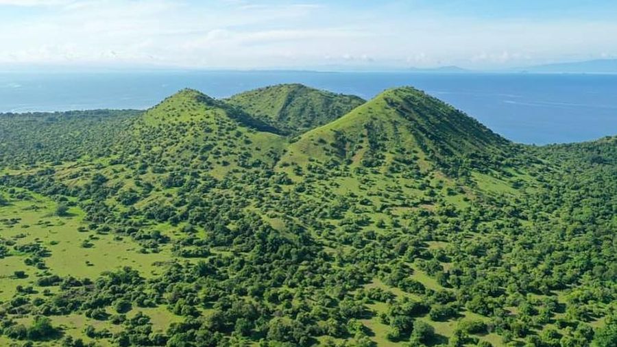 Kawasan Taman Nasional Gunung Tambora (TNGT), NTB. (Dok. Balai TNGT via Detikcom)