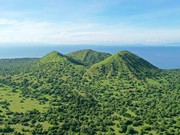 Kawasan Taman Nasional Gunung Tambora (TNGT), NTB. (Dok. Balai TNGT via Detikcom)