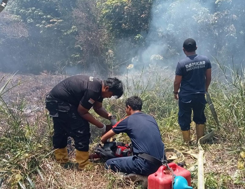Personil pemadam kebakaran melakukan pemadaman api yang membakar lahan di Kecamatan Samatiga, Aceh Barat dengan penyemprotan air pada Rabu (9/3/2026). (Dok. BPBD Kabupaten Aceh Barat)