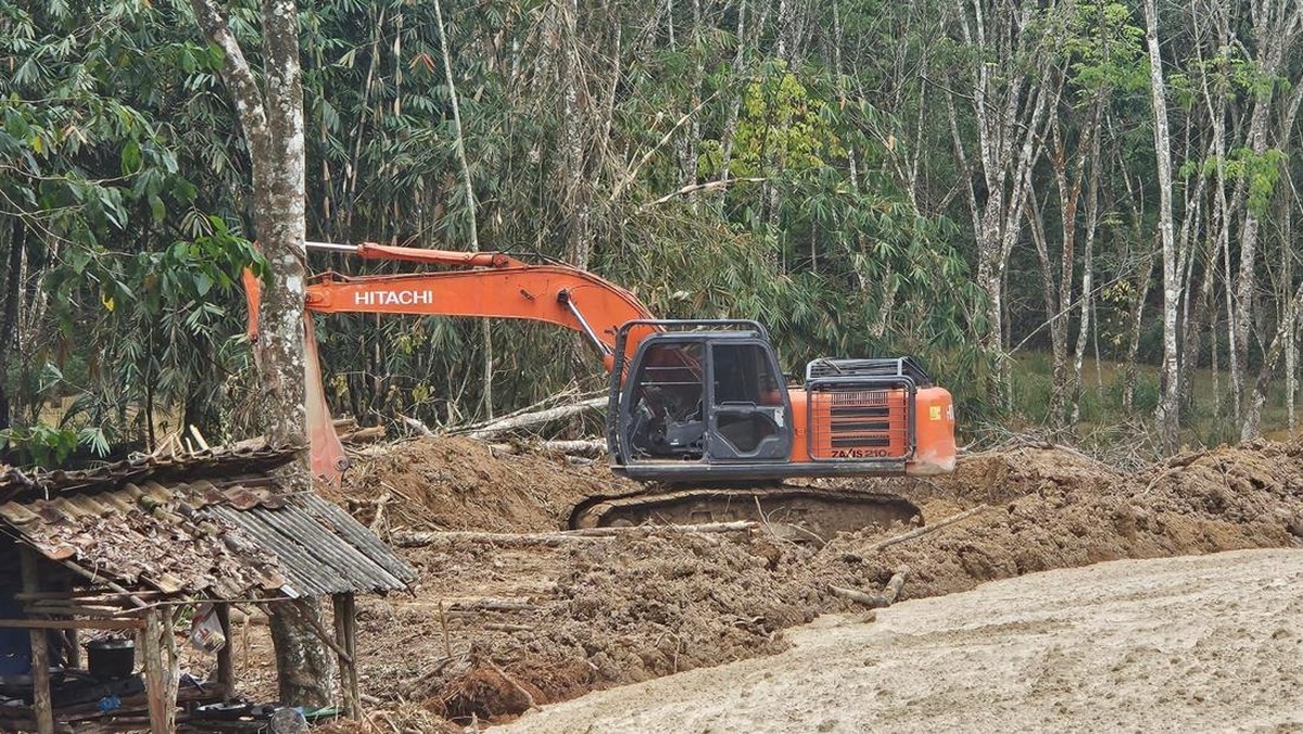Penambang Ilegal Dibantu China Keruk Tambang Emas RI Pakai Eksavator