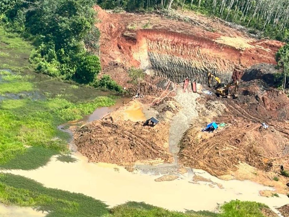 Jamur Fusarium oxysporum, Solusi Baru Eksplorasi Emas Ramah Lingkungan