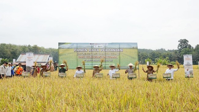 Bukti Hilirisasi Batubara Dukung Ketahanan Pangan Nasional