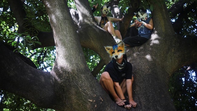 Muncul Fenomena Aneh: Remaja Meniru Perilaku Anjing dan Kucing