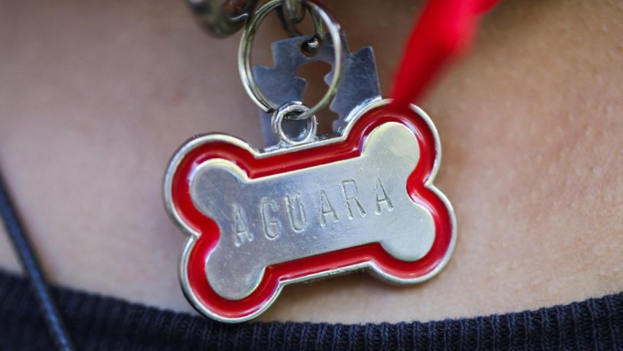 Remaja yang mengidentifikasi diri sebagai 