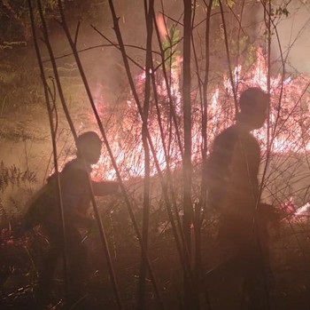 Penampakan Petugas Bencana Berjibaku Matikan Kebakaran di Aceh-Kaltara