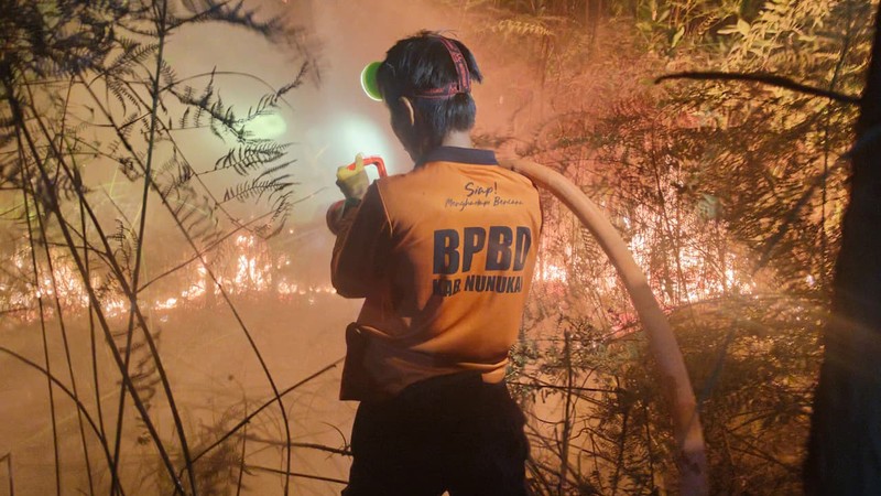 Personil pemadam kebakaran melakukan pemadaman api yang membakar lahan di Kecamatan Samatiga, Aceh Barat dengan penyemprotan air pada Rabu (9/3/2026). (Dok. BPBD Kabupaten Aceh Barat)
