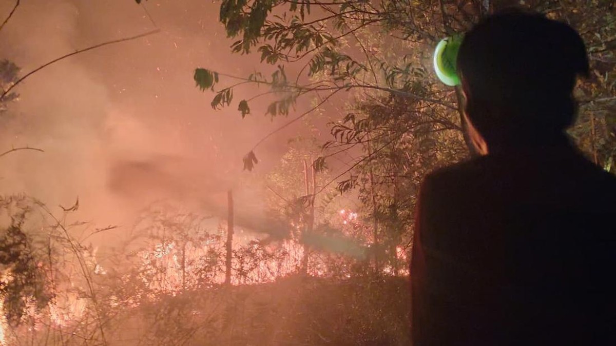 Indonesia Rasakan Dampak Nyata Perubahan Iklim, Pakar UGM Soroti Cepatnya Laju Degradasi