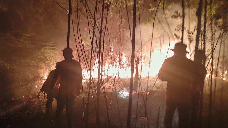 Personil pemadam kebakaran melakukan pemadaman api yang membakar lahan di Kecamatan Samatiga, Aceh Barat dengan penyemprotan air pada Rabu (9/3/2026). (Dok. BPBD Kabupaten Aceh Barat)