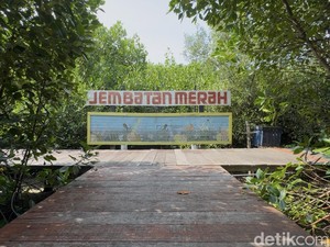 Pernah Jaya di Masanya, Wisata Mangrove Jembatan Merah Rembang Kini Merana