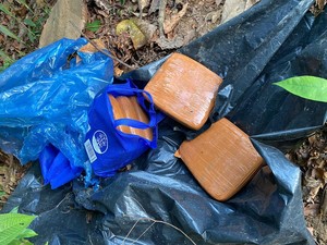 Warga Bangka Temukan 5 Kg Ganja di Kebun Sawit, Polisi Selidiki