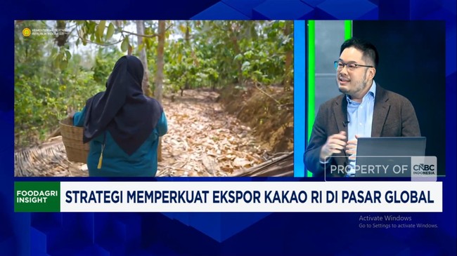 Video: Genjot Produksi Biji Kakao, 240 Ribu H Kebun Direvitalisasi
