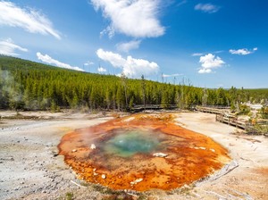 Daftar 5 Taman Nasional Terbaik di AS, Yellowstone Masih Juaranya