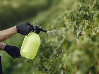 Siap-Siap Harga Pestisida Naik 20%, Waspada Produk Palsu Bertebaran