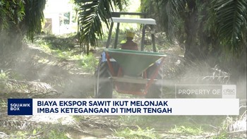 Video: Biaya Ekspor Sawit Melonjak, Imbas Ketegangan di Timur Tengah