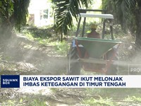 Video: Biaya Ekspor Sawit Melonjak, Imbas Ketegangan di Timur Tengah