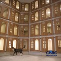 Hotel Khusus Kucing di Jakarta Ini Sudah Full Bookingan saat Lebaran