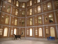 Hotel Khusus Kucing di Jakarta Ini Sudah Full Bookingan saat Lebaran