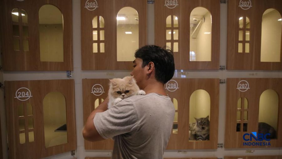 Cat Sitter merawat kucing peliharaan yang dititipkan di Arnamir Cat Hotel Cikajang, Jakarta, Jumat (13/3/2026). (CNBC Indonesia/Faisal Rahman)