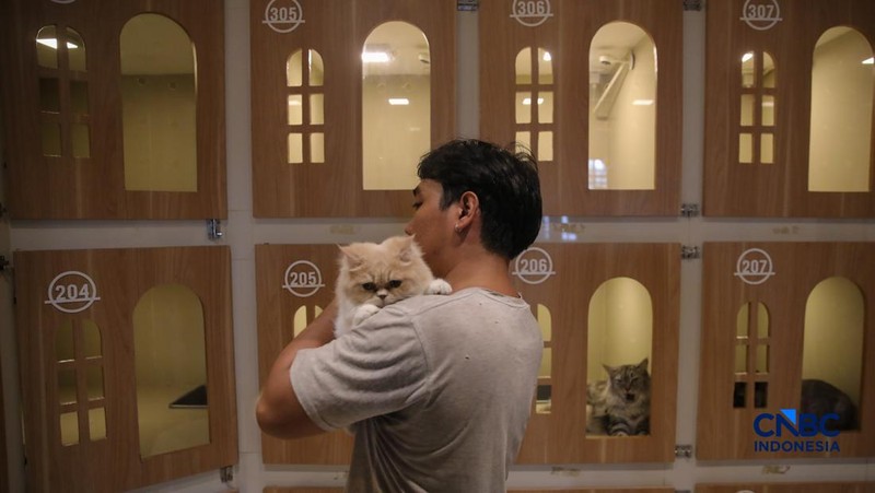 Cat Sitter merawat kucing peliharaan yang dititipkan di Arnamir Cat Hotel Cikajang, Jakarta, Jumat (13/3/2026). (CNBC Indonesia/Faisal Rahman)