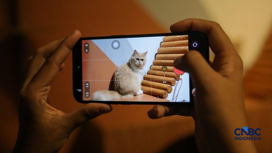 Cat Sitter merawat kucing peliharaan yang dititipkan di Arnamir Cat Hotel Cikajang, Jakarta, Jumat (13/3/2026). (CNBC Indonesia/Faisal Rahman)