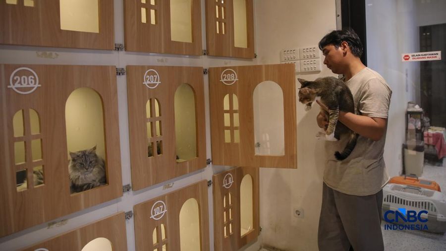 Cat Sitter merawat kucing peliharaan yang dititipkan di Arnamir Cat Hotel Cikajang, Jakarta, Jumat (13/3/2026). (CNBC Indonesia/Faisal Rahman)