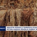 Video: Industri Rokok Kian Terhimpit, Petani-Pekerja Pabrik 'Menjerit'