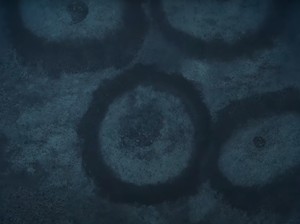 Misteri 1.400 Lingkaran Raksasa di Dasar Laut Mediterania Terungkap