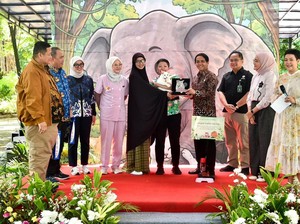 Menhut Luncurkan Program Ramah Hewan, Kucing Jalanan Disteril dan Divaksin