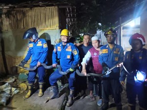 King Kobra 4 Meter Muncul di Pot Rumah, Warga Bogor Panggil Damkar