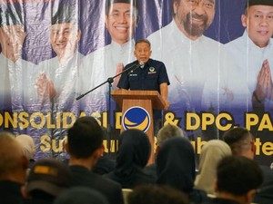 Video Kata Waketum NasDem soal Isu Fusi dengan Gerindra