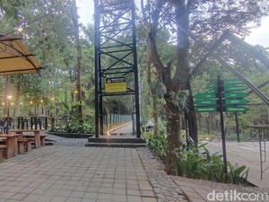 Jolotundo, Wisata Alam di Nganjuk yang Bisa Jadi Pilihan Libur Lebaran