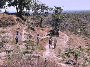 PT BSI Serahkan Lahan Kompensasi Terluas di Indonesia