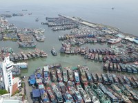 KKP Ingatkan Syahbandar Pelabuhan Ikan Pasang Mata-Awas Kebakaran