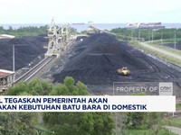 Video: Bahlil Jamin Pemerintah Utamakan Kebutuhan Batu Bara Domestik
