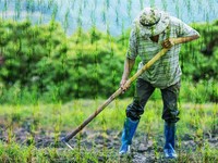 China dan AS Punya Lahan Pertanian Terluas di Dunia, RI Masih Jauh