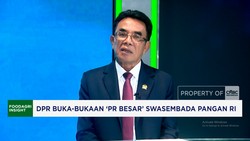 Video: DPR Buka-Bukaan 'PR Besar' Swasembada Pangan RI