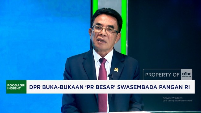 Video: DPR Buka-Bukaan 'PR Besar' Swasembada Pangan RI