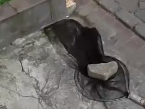 Viral Pria di Tangerang Protes Kucingnya Dijaring tapi Malah Dicekik
