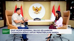 Video: Wamentan Buka-Bukaan Cara Pemerintah Mencapai Swasembada Pangan