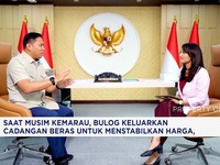 Video: Wamentan Buka-Bukaan Cara Pemerintah Mencapai Swasembada Pangan