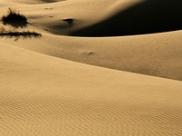 Suhu 70 Celcius dan Rawa Mematikan, Gurun Iran Jadi Neraka bagi Musuh