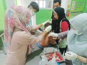 Serangan Anjing Liar Terjadi Lagi di Polman, Kini Balita 3 Tahun Jadi Korban