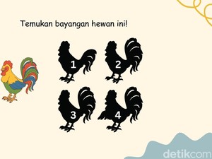Cek Ketajaman Saraf Mata, Temukan Bayangan yang Tepat!