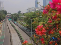 Penampakan Aneh di Jakarta, Sudirman Sampai Thamrin Kosong Melompong