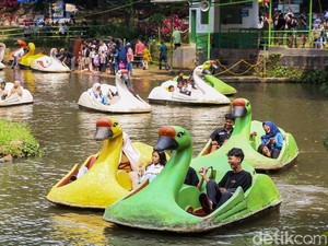 Cerita Pengunjung Ragunan Saat Libur Idulfitri 2026: Ada yang Happy, Sebagian Kecewa