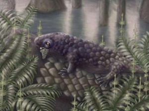 Bukan Dinosaurus, Hewan Ini yang Pertama Kali Makan Daun di Bumi