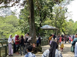 Cerita Warga Karawang Wisata ke Ragunan: Murah Meriah